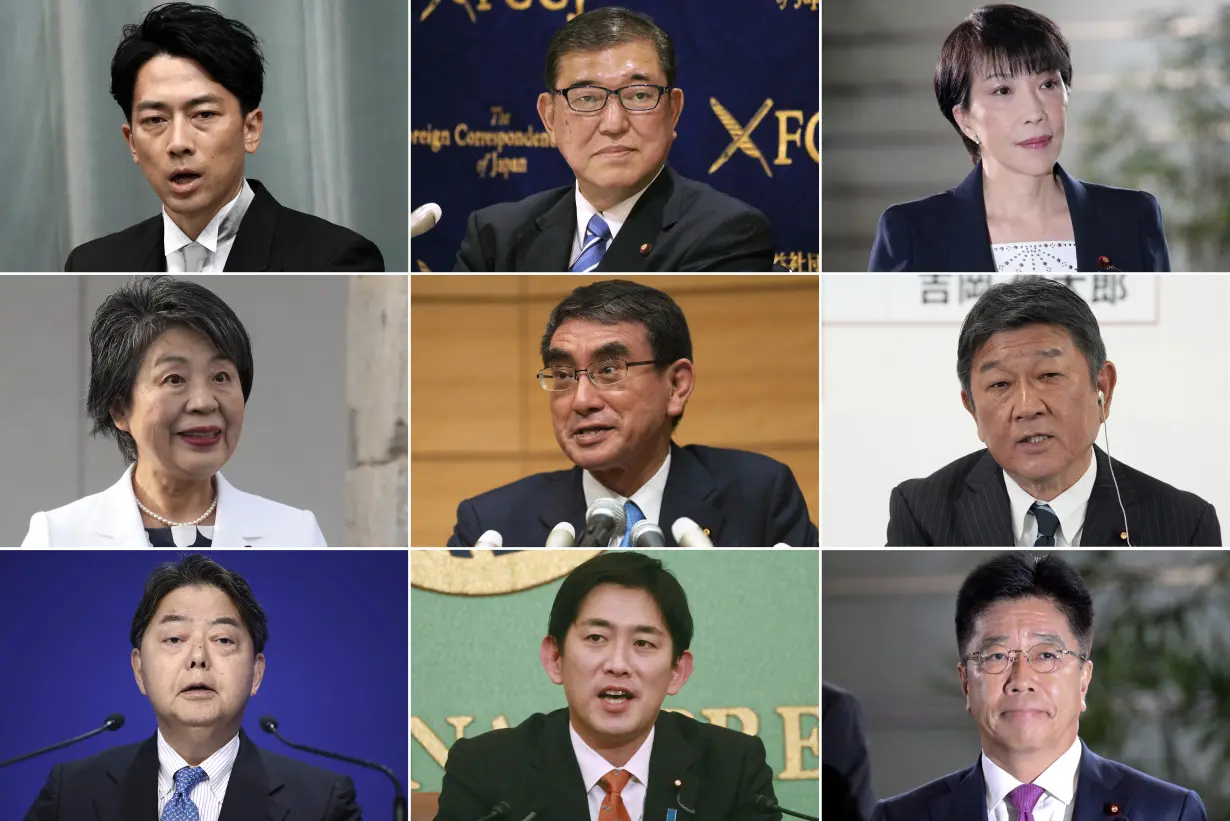 Japan Politics Candidates