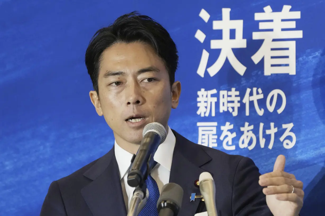 The candidates to be Japan's next leader include a former premier's son and a defense expert