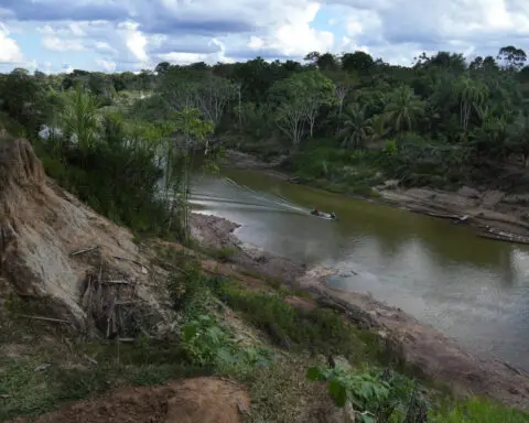 The Amazon's Ashaninka tribe restored their territory. Now they aim to change the region