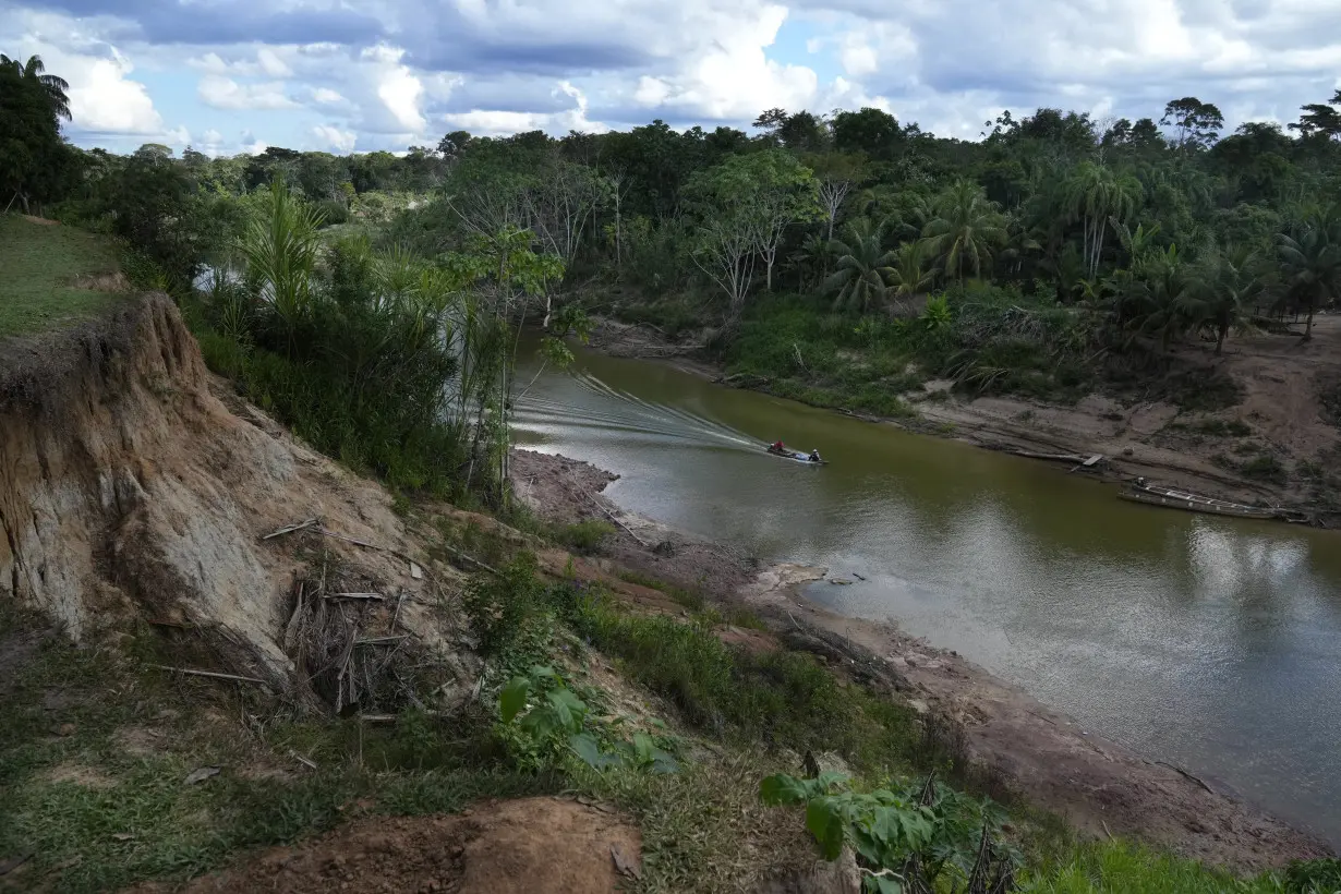 Climate Amazon Indigenous Reforestation