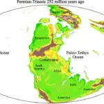 Mega El Niño events may have caused planet’s greatest mass extinction 252 million years ago