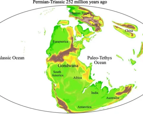 The Great Dying once wiped out 90% of life on Earth. A new theory may explain why