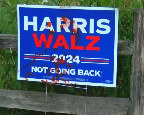 Madison vandal caught on camera defacing political signs