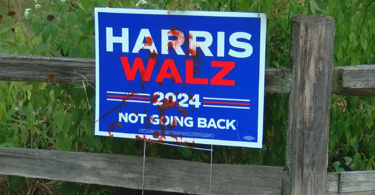 Madison vandal caught on camera defacing political signs