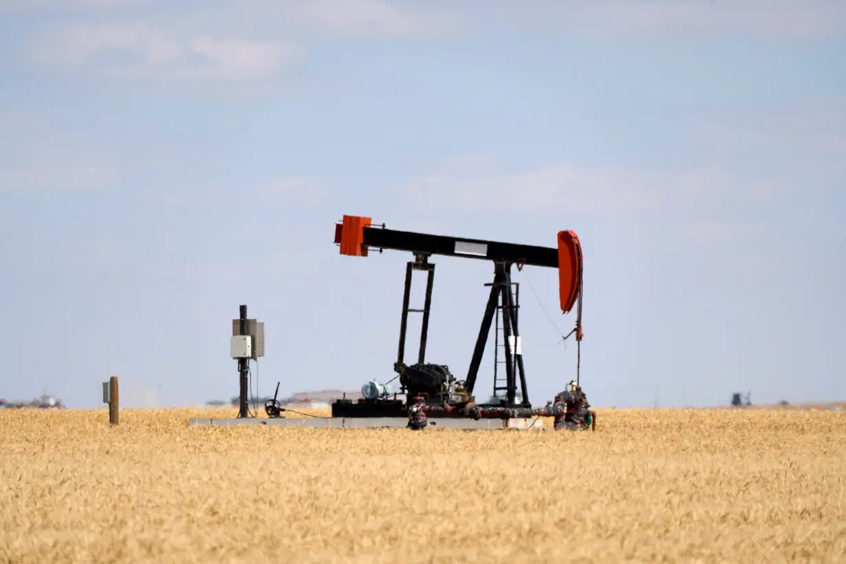 Oil pumpjacks and tanks in a farmer's field near Kindersley