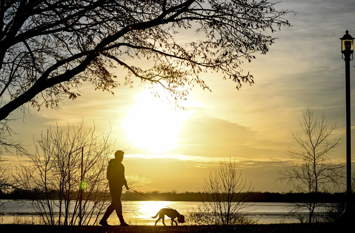 Dogs bring loads of joy but also perils on a leash