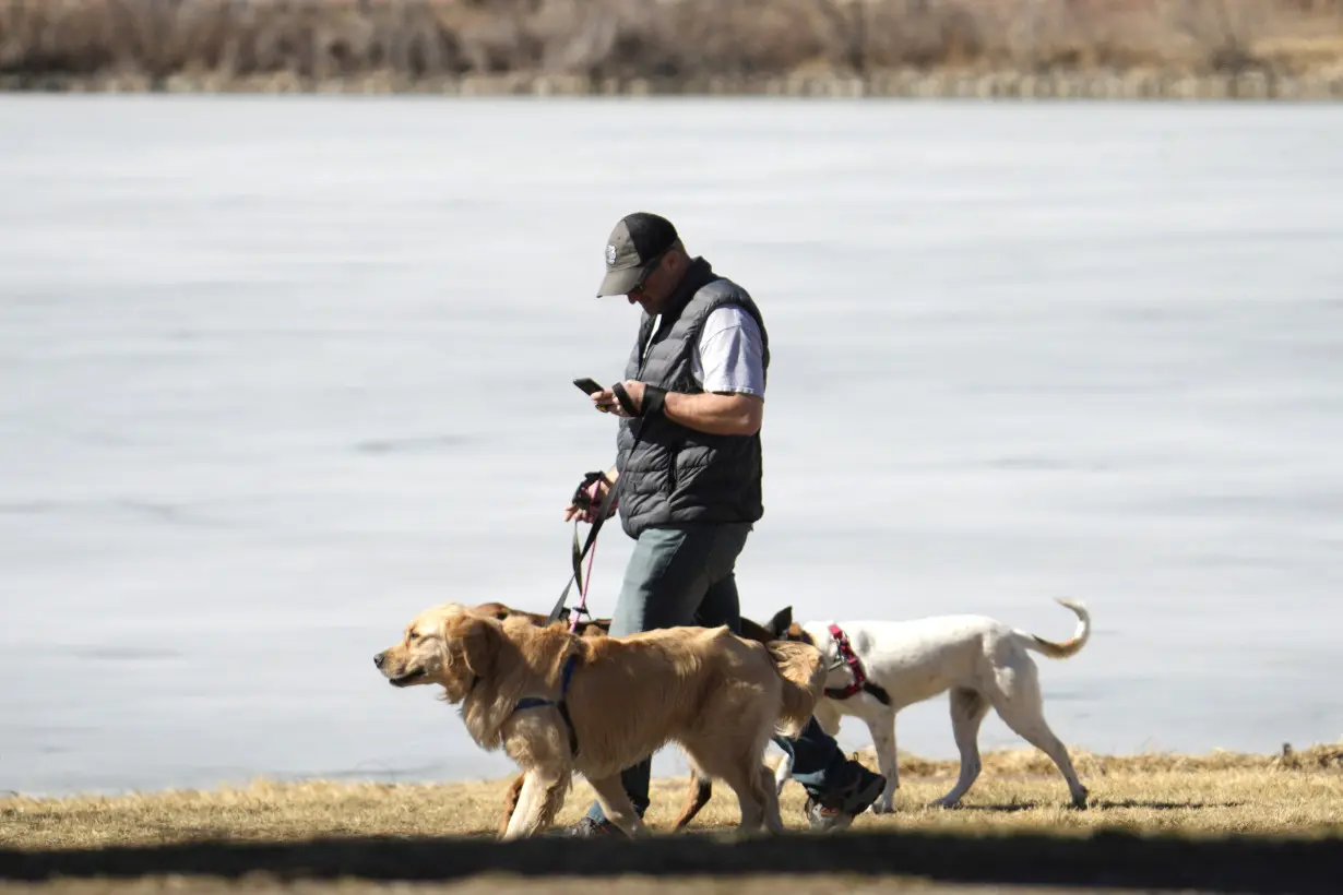 Dogs bring loads of joy but also perils on a leash