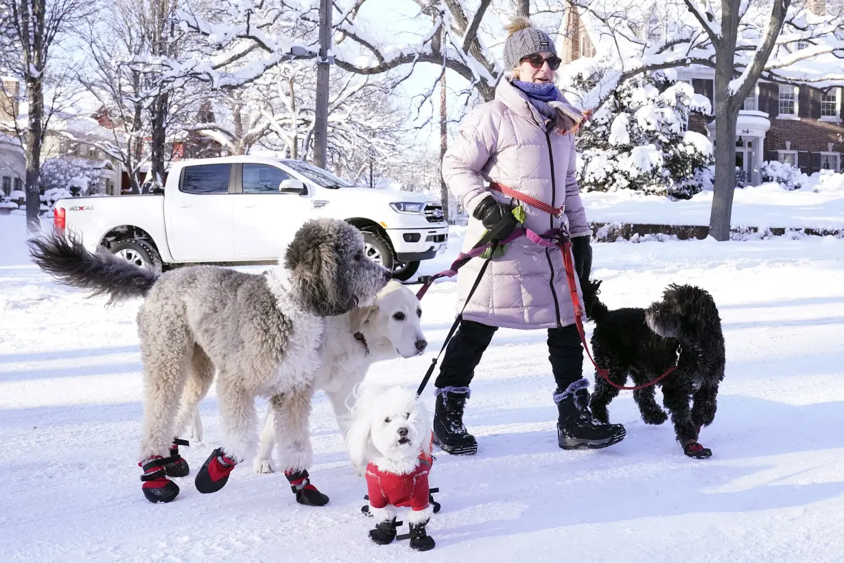 Dogs bring loads of joy but also perils on a leash