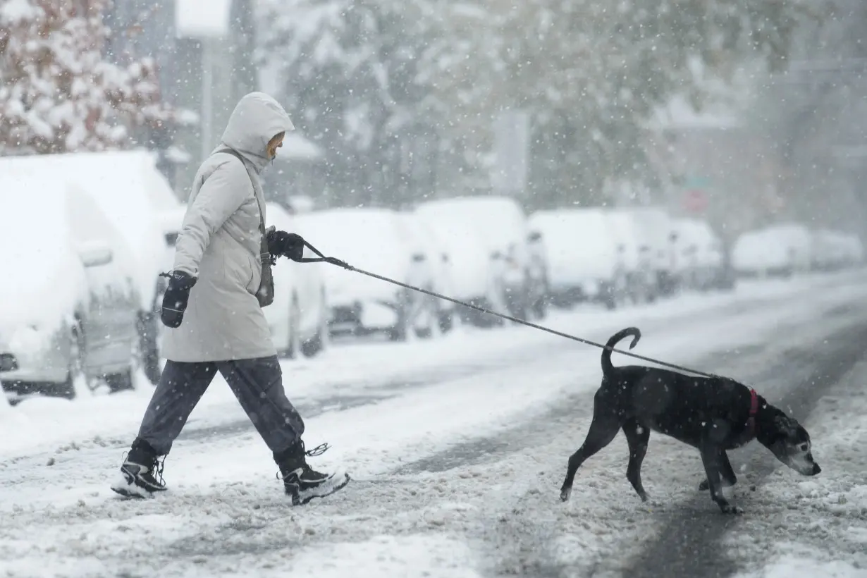 Dogs bring loads of joy but also perils on a leash