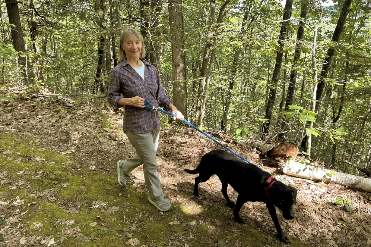 Dogs bring loads of joy but also perils on a leash