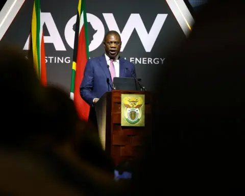 South Africa's deputy president 'ok' after collapsing during speech