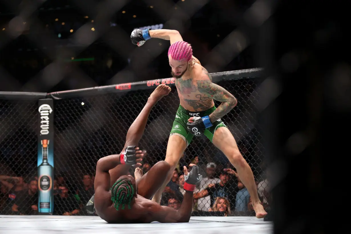 O'Malley won the UFC bantamweight title after beating American fighter Aljamain Sterling.