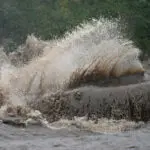 4 killed as heaviest rain in decades hits parts of central and eastern Europe