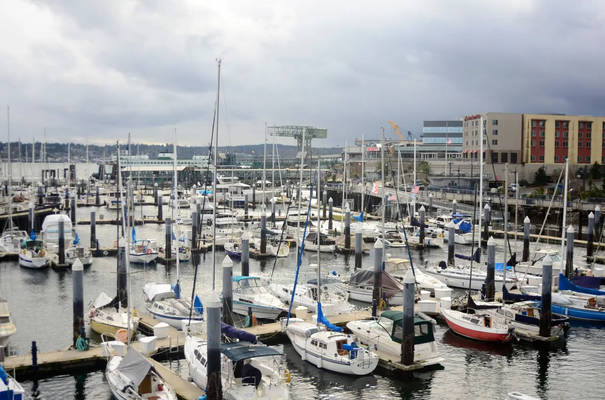 River otter drags child off dock and underwater in rare attack at Washington marina