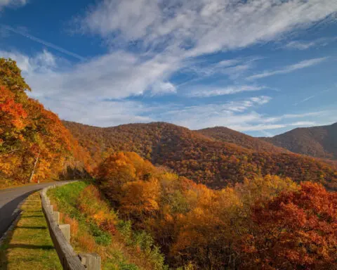 6 scenic fall drives where you can get your foliage fix this year