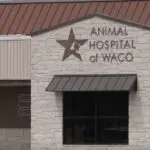 'I've been robbed': Local pet owner says Animal Hospital of Waco forced her to surrender her dog