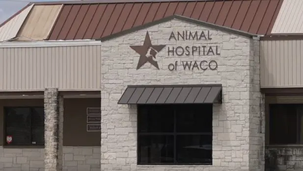 'I've been robbed': Local pet owner says Animal Hospital of Waco forced her to surrender her dog