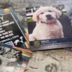 Massachusetts police departments using trading cards to connect with students