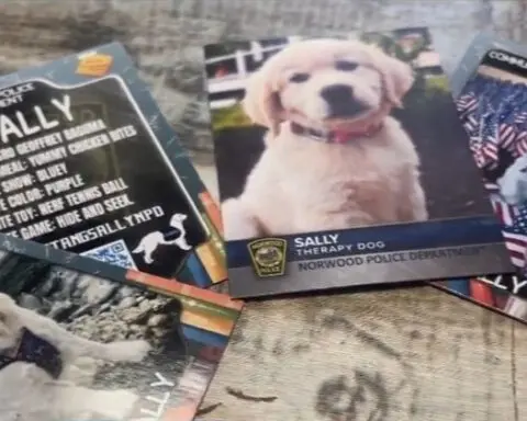 Massachusetts police departments using trading cards to connect with students