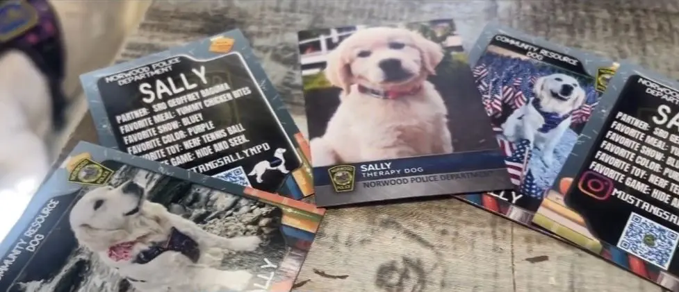 Massachusetts police departments using trading cards to connect with students