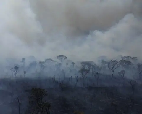 Brazilian firefighters battle national park wildfire that is enveloping Brasilia in smoke