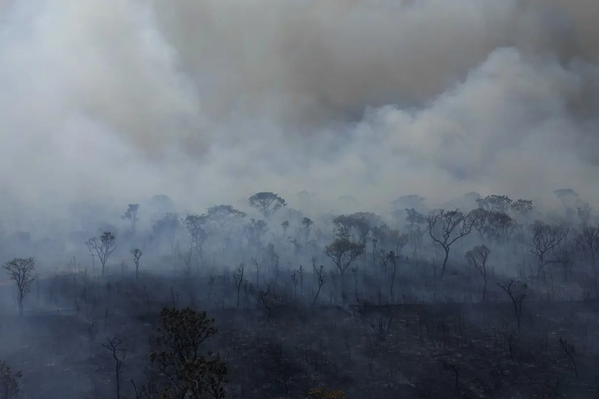 APTOPIX Brazil Wildfires