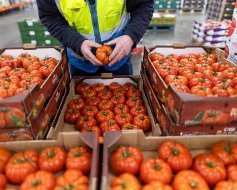 Brexit is ‘stifling’ Britain’s trade with Europe and the problem is getting worse