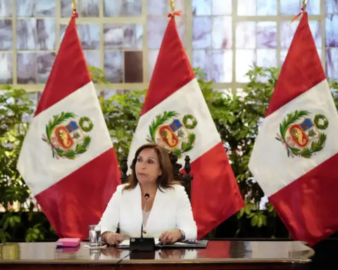 Peru declares state of emergency in regions scorched by forest fires