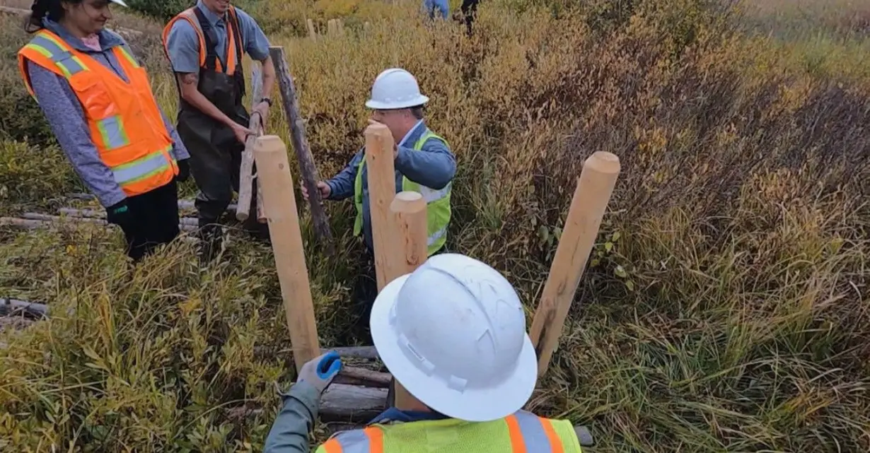 Teams are building man-made beaver dams to restore habitat at Colorado's Soda Creek