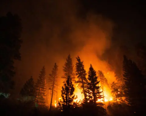 Climate-related 'one-two punch' seen driving Los Angeles wildfires