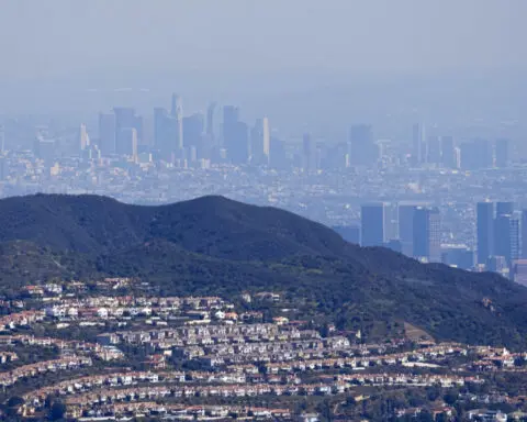 Los Angeles area sees more dengue fever in people bitten by local mosquitoes