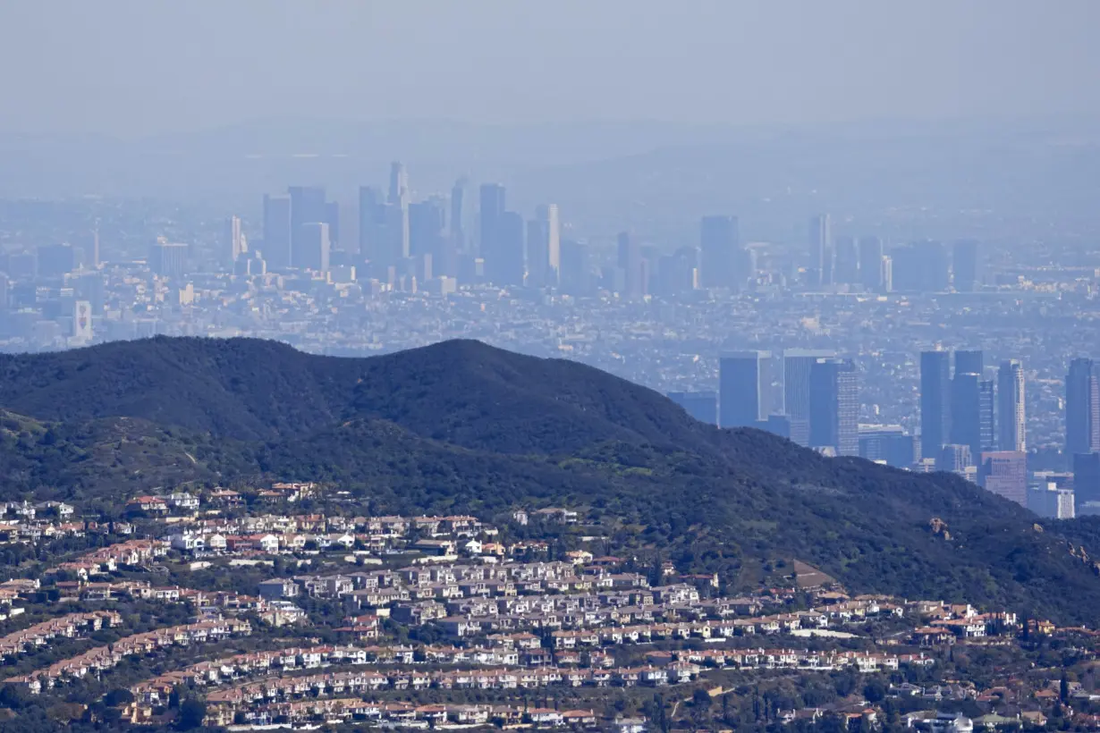 Los Angeles Dengue Cases