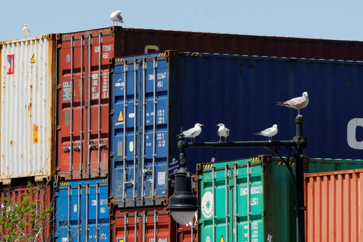 FILE PHOTO: Sea gulls sit on a lamppost beside shipping containers stacked at the Paul W. Conley Container Terminal in Boston