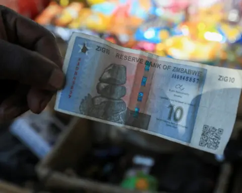 Zimbabwe's new currency faces headwinds five months on