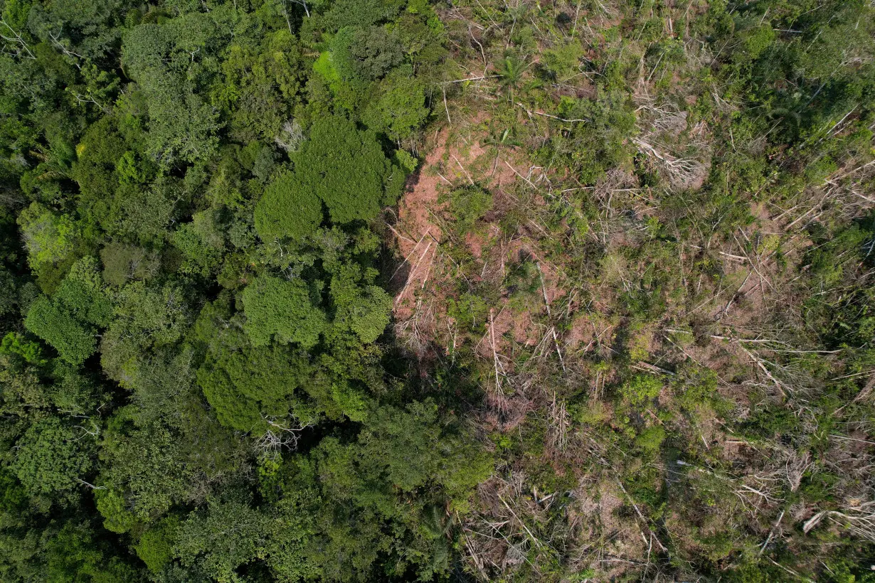 FILE PHOTO: A drone view shows a deforested plot of Brazil's Amazon rainforest in the municipality of Humaita