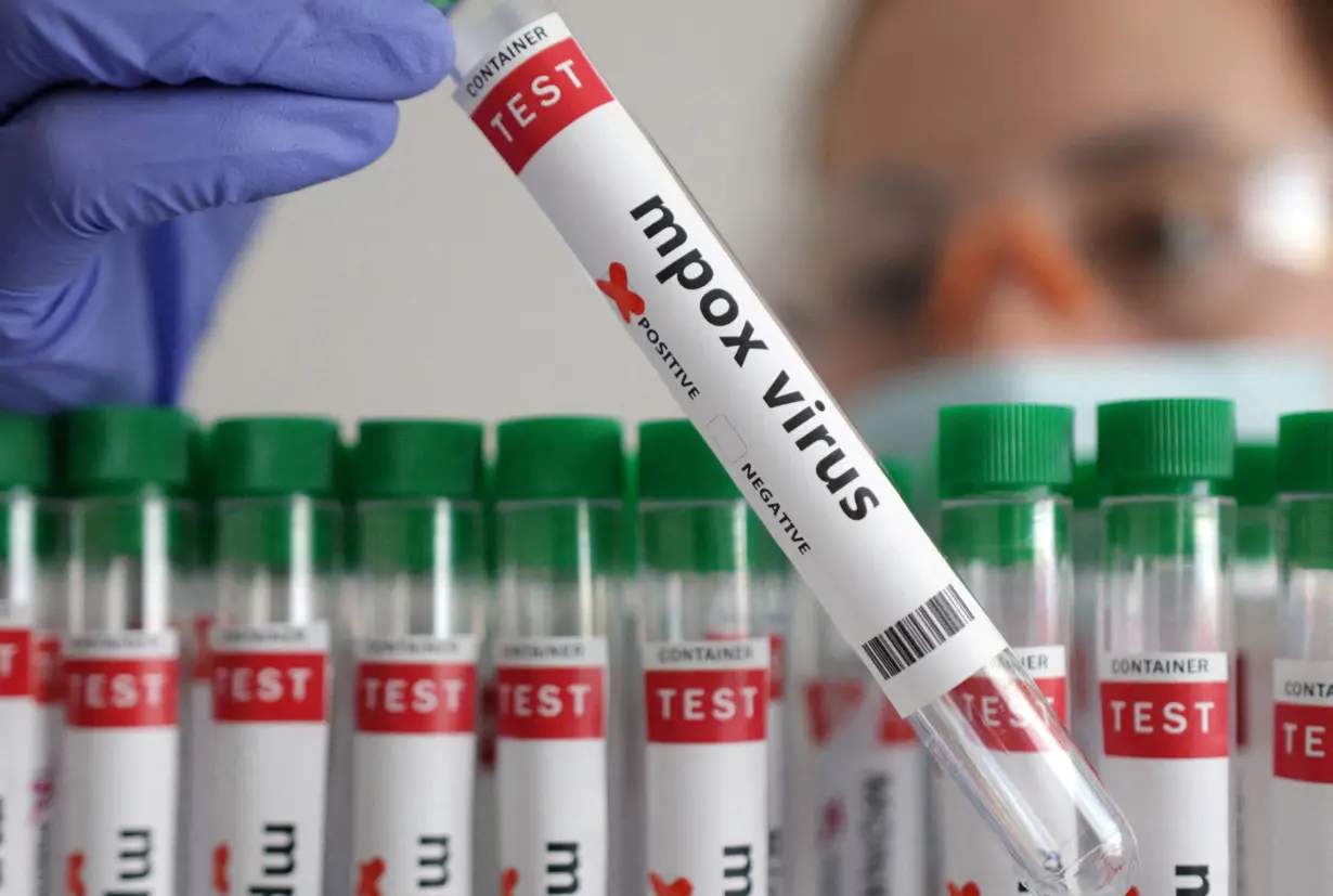 FILE PHOTO: Illustration shows test tubes with 