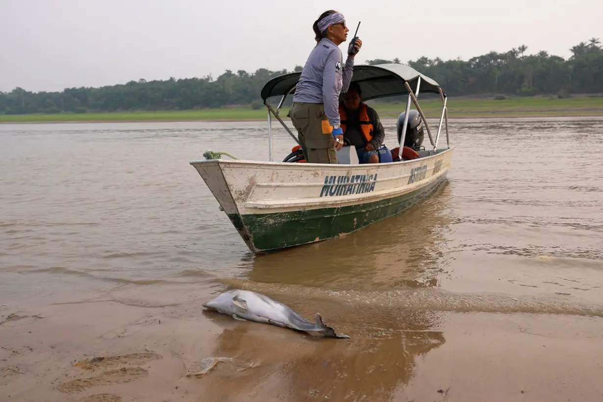 Severe drought hits Amazon rivers