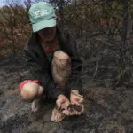 Brazil drought punishes coffee farms and threatens to push prices even higher