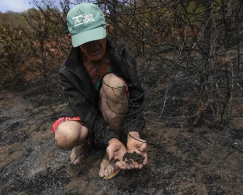 Brazil drought punishes coffee farms and threatens to push prices even higher