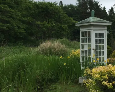 Wind phones help the bereaved deal with death, loss and grief − a clinical social worker explains the vital role of the old-fashioned rotary phone