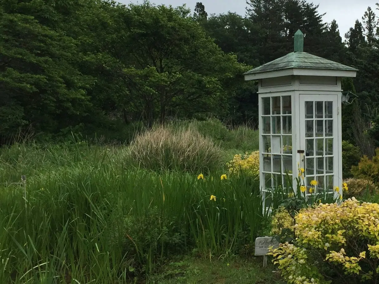 Wind phones help the bereaved deal with death, loss and grief − a clinical social worker explains the vital role of the old-fashioned rotary phone