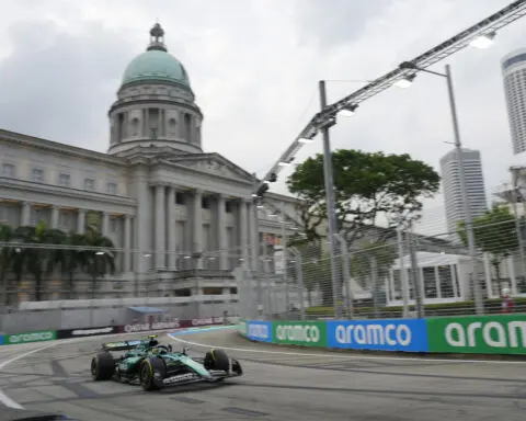 Lizard on track halts Formula 1 practice in Singapore