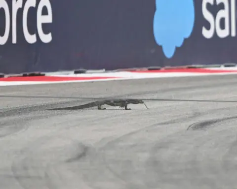 ‘It looks like a dragon!’ F1 practice in Singapore halted after lizard runs onto track