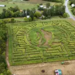 Carolina Moment: Local corn maze marks 20 years with focus on charity, community aid