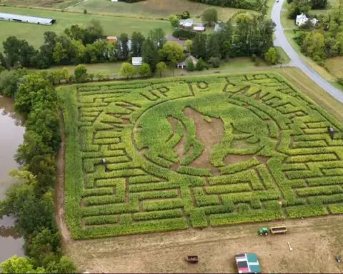 Carolina Moment: Local corn maze marks 20 years with focus on charity, community aid