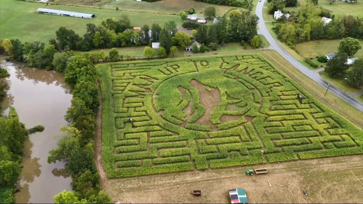 Carolina Moment: Local corn maze marks 20 years with focus on charity, community aid