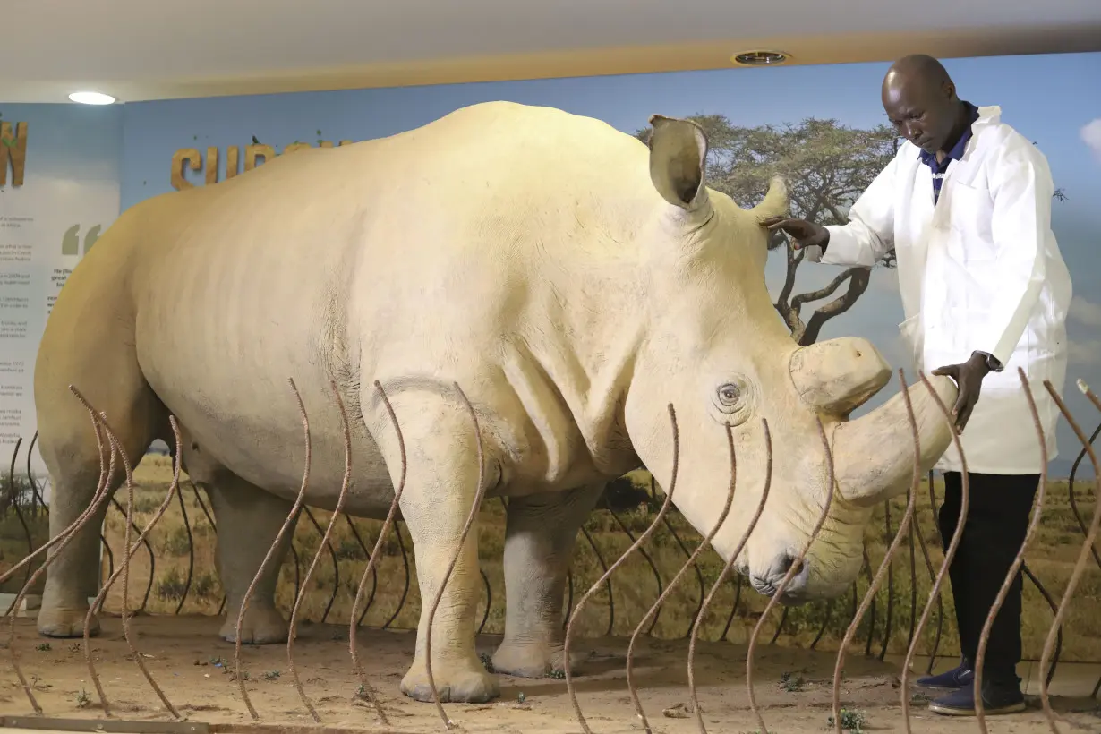 Kenya World Rhino Day