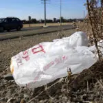 California governor signs law banning all plastic shopping bags at grocery stores