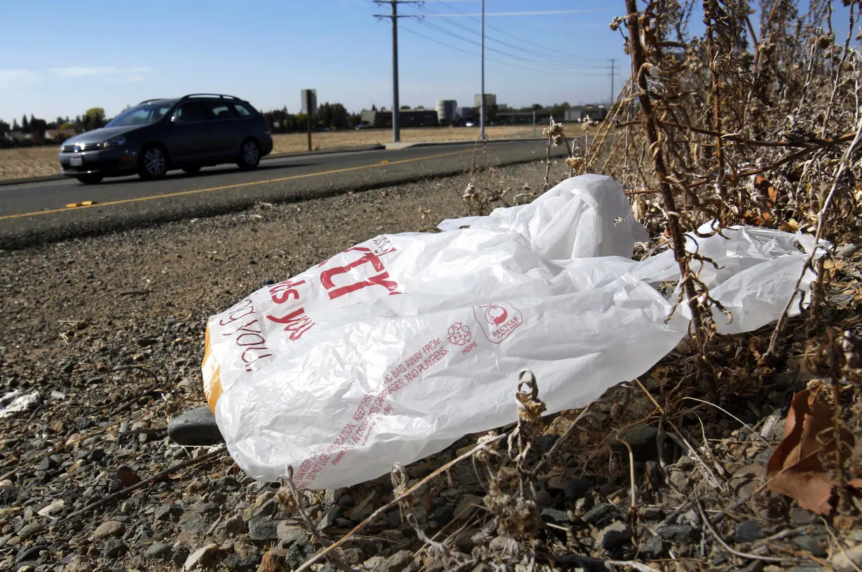 California Plastic Bag Ban