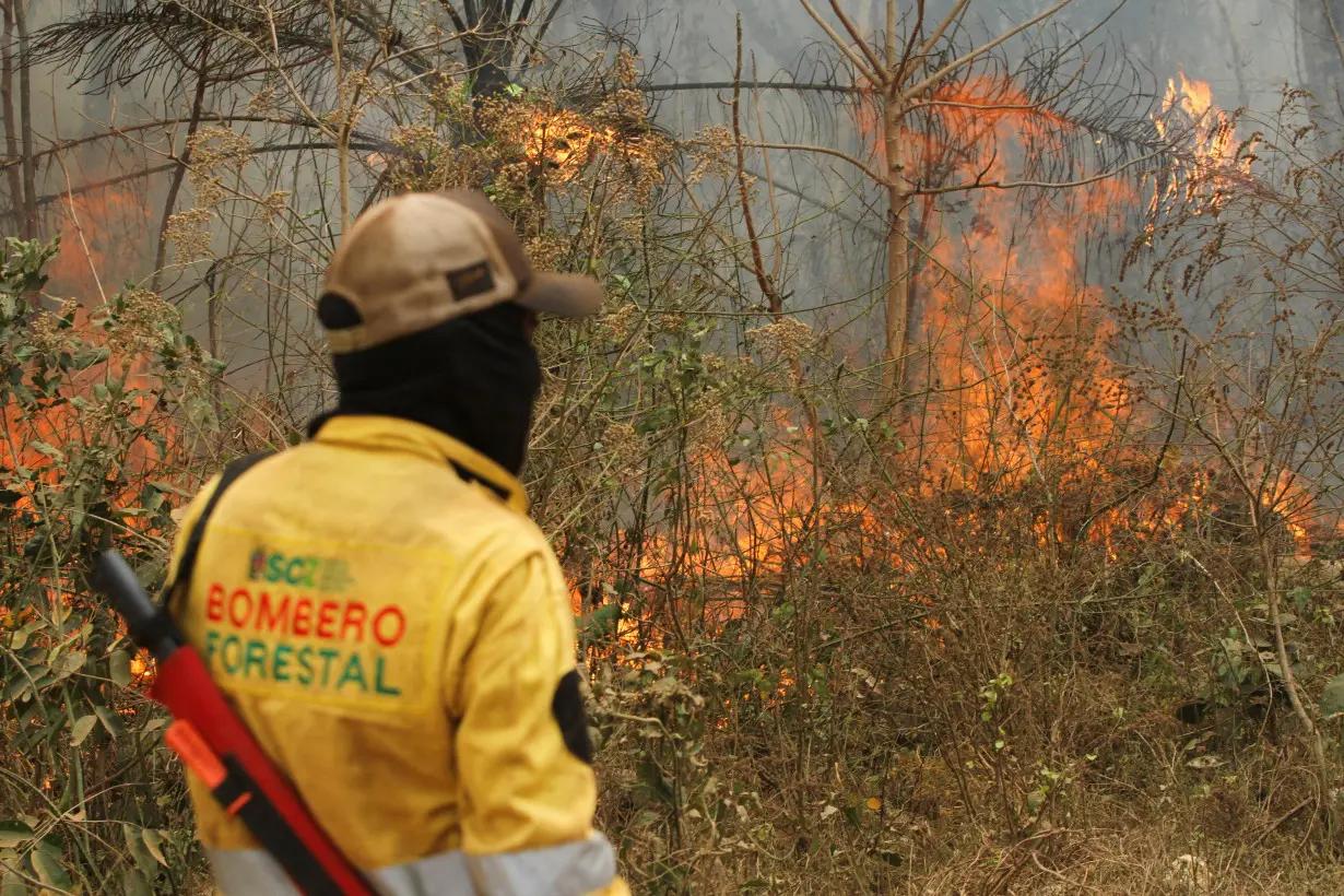 FILE PHOTO: Forest fires in Concepcion